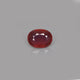 Ruby - 9.03 Carat - Pramogh