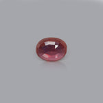 Ruby - 10.25 Carat - Pramogh