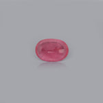 Ruby - 8.63 Carat - Pramogh