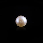 Pearl - 10.1 Carat - Pramogh