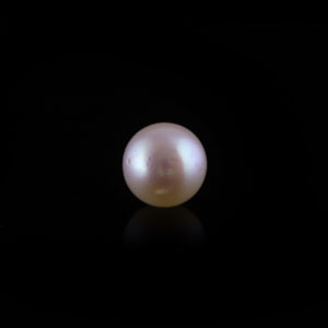 Pearl - 11.35 Carat - Pramogh