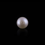 Pearl - 10.8 Carat - Pramogh