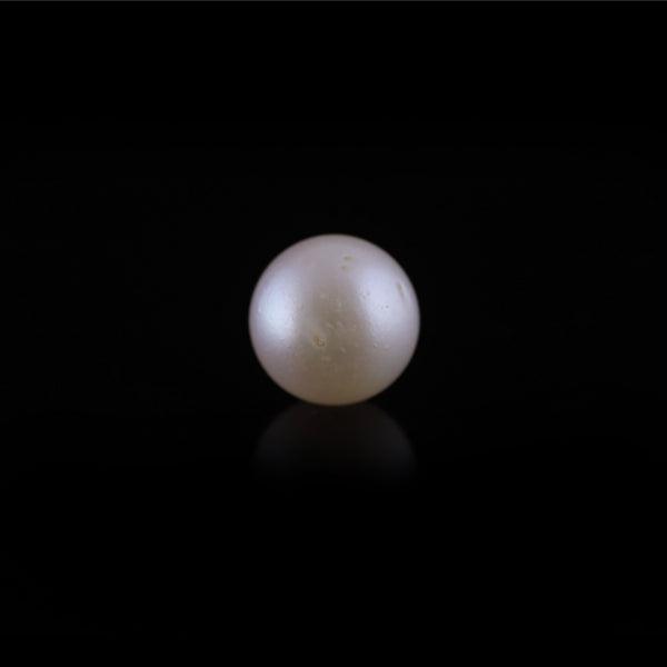 Pearl - 11.8 Carat - Pramogh