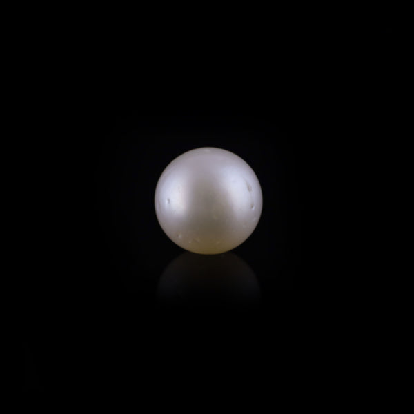 Pearl - 12.85 Carat - Pramogh