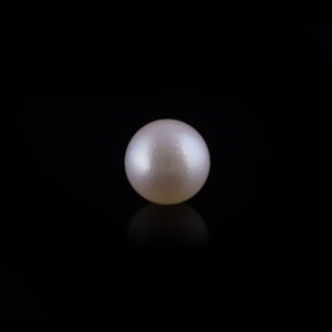 Pearl - 12.35 Carat - Pramogh