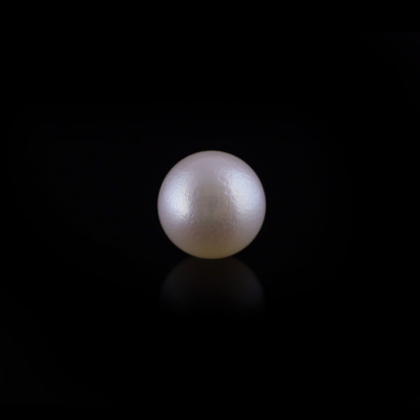 Pearl - 12.35 Carat - Pramogh