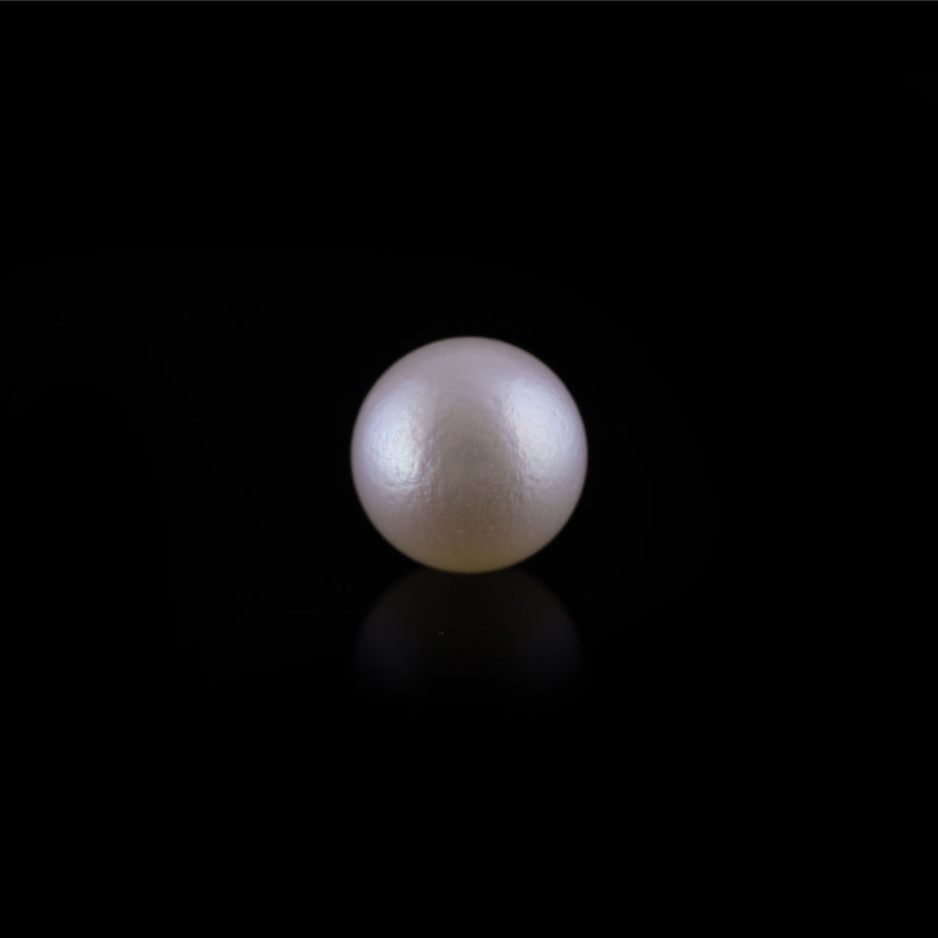 Pearl - 12.35 Carat - Pramogh