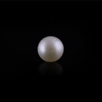 Pearl - 11.45 Carat - Pramogh