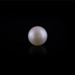 Pearl - 11.75 Carat - Pramogh
