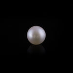 Pearl - 11.2 Carat - Pramogh