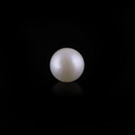 Pearl - 11.9 Carat - Pramogh
