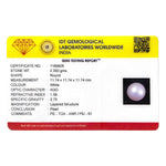 Pearl - 11.75 Carat - Pramogh