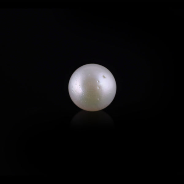 Pearl - 11.9 Carat - Pramogh