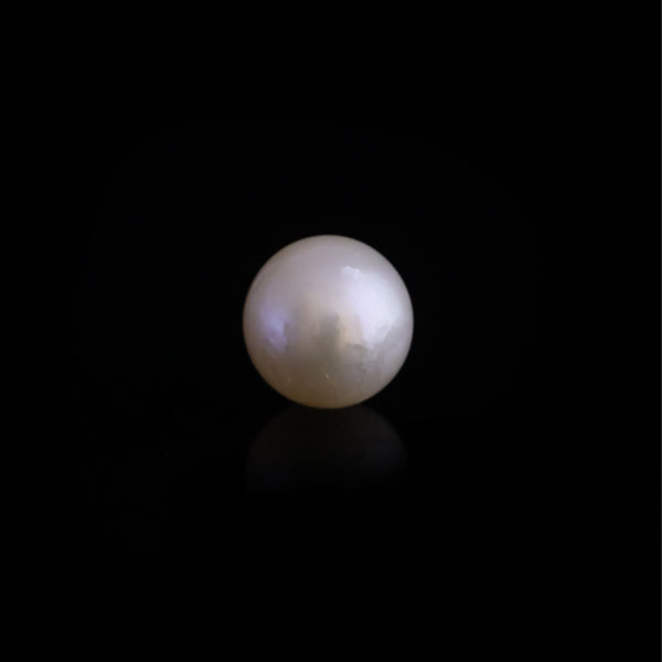 Pearl - 13.8 Carat - Pramogh