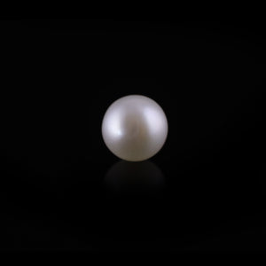 Pearl - 12 Carat - Pramogh