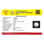 Pearl - 12 Carat - Pramogh