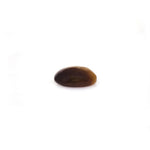Tiger Eye - 6.75 Carat - Pramogh