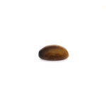 Tiger Eye - 8.65 Carat - Pramogh