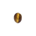 Tiger Eye - 11.05 Carat - Pramogh