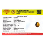 Tiger Eye - 9.55 Carat - Pramogh