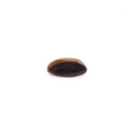 Tiger Eye - 8.6 Carat - Pramogh