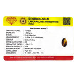 Tiger Eye - 9.4 Carat - Pramogh
