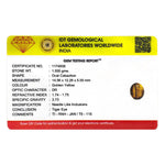 Tiger Eye - 7.75 Carat - Pramogh