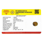 Tiger Eye - 9.85 Carat - Pramogh