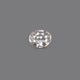 Natural White Zircon - 6.75 Carat - Pramogh
